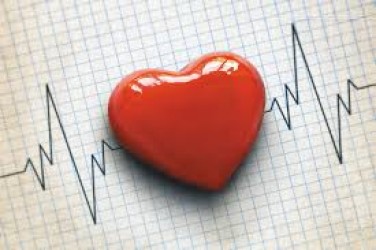 Heart
